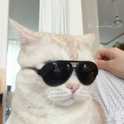 小东西可想你了